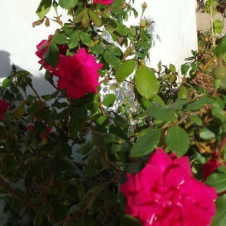 Giardini Di Lanzo Villa มาร์ตินาฟรังกา ภายนอก รูปภาพ