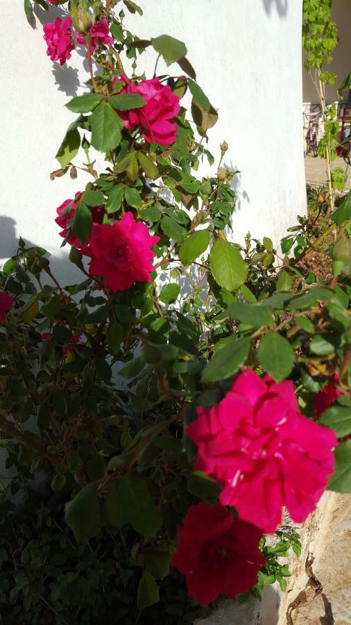 Giardini Di Lanzo Villa มาร์ตินาฟรังกา ภายนอก รูปภาพ